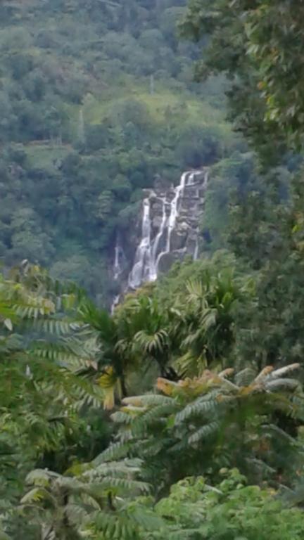 Malithis Lodge room 6