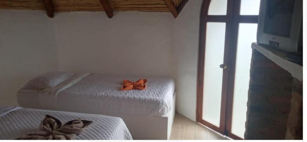 Maloka Verde Natural room 3