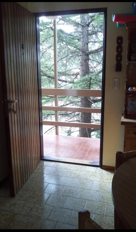 Mar Celeste Gesell room 3