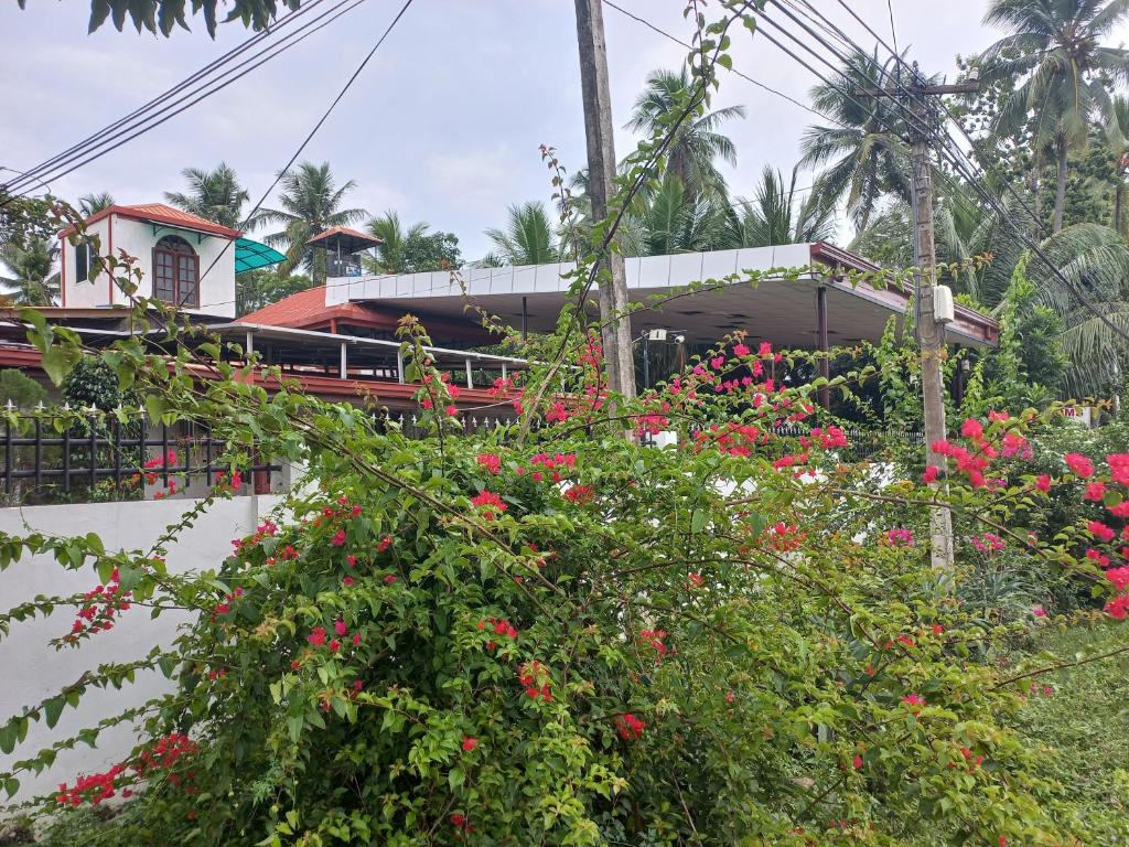 Mayura Rest Inn room 1
