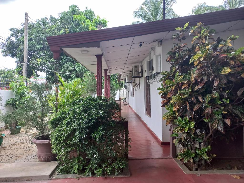 Mayura Rest Inn room 2