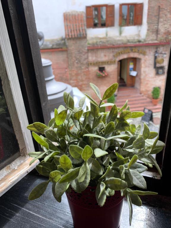 Medieval Central Apartment room 2