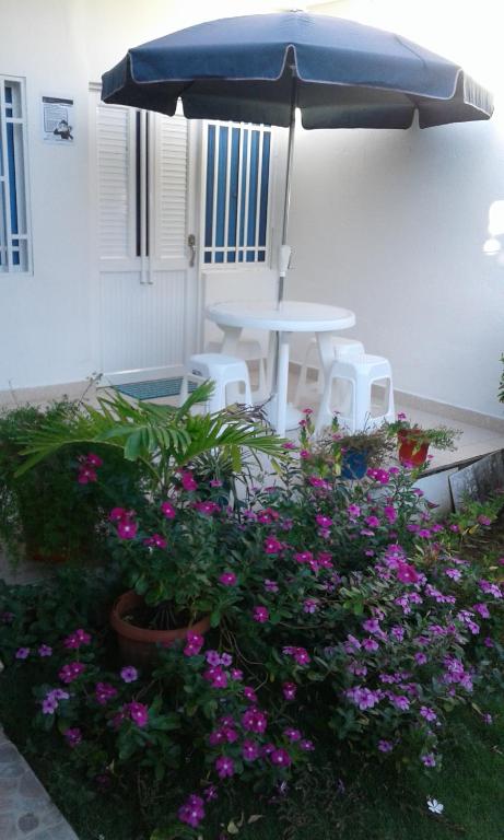 Miss Margaritas´s House room 2