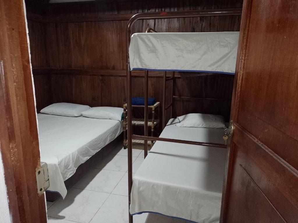Mistiko Glamping Safari room 2