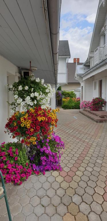 Naiza - Jurmala Guesthouse room 6