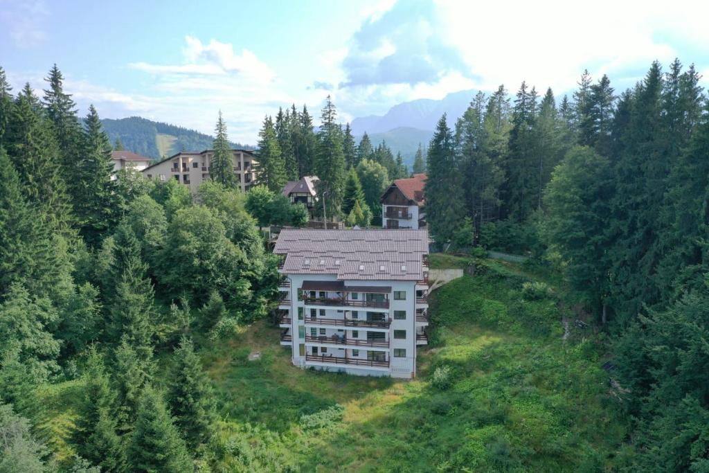 Nature House Predeal room 6
