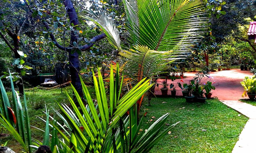 Nethmi Homestay room 2
