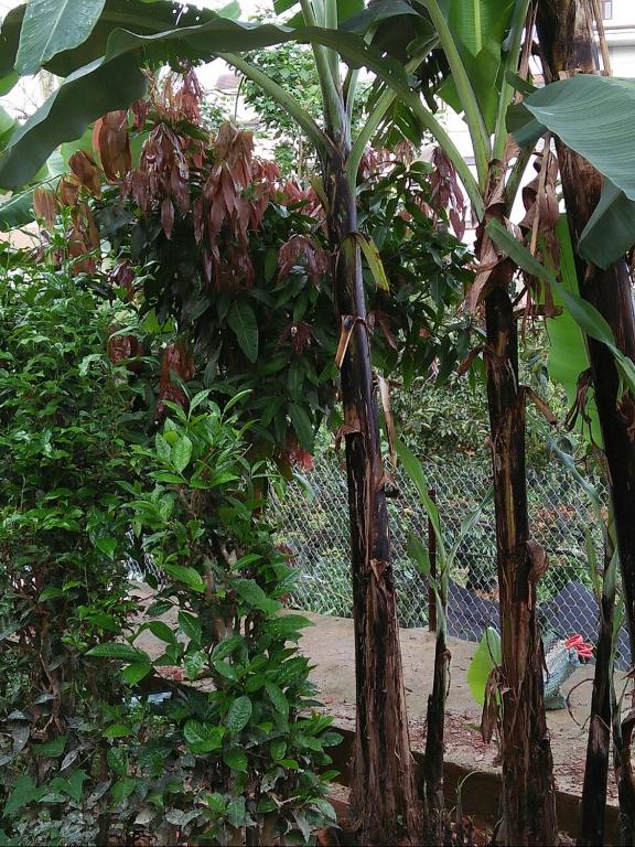 Nhà của Sóc Homestay room 4