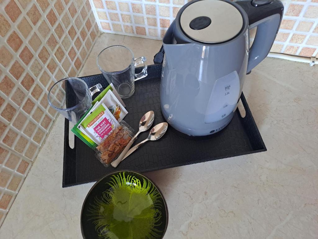 Notos Apartments room 6