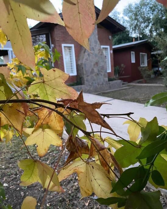 Nuestro Hogar room 4