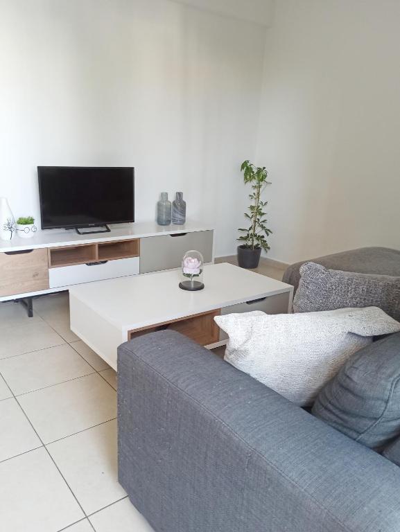 Olymbos Garden Homes room 1