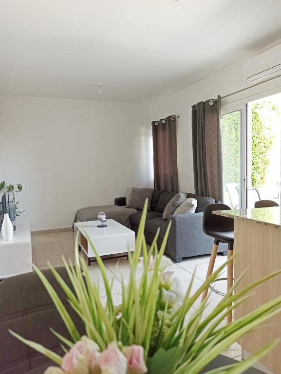 Olymbos Garden Homes room 2