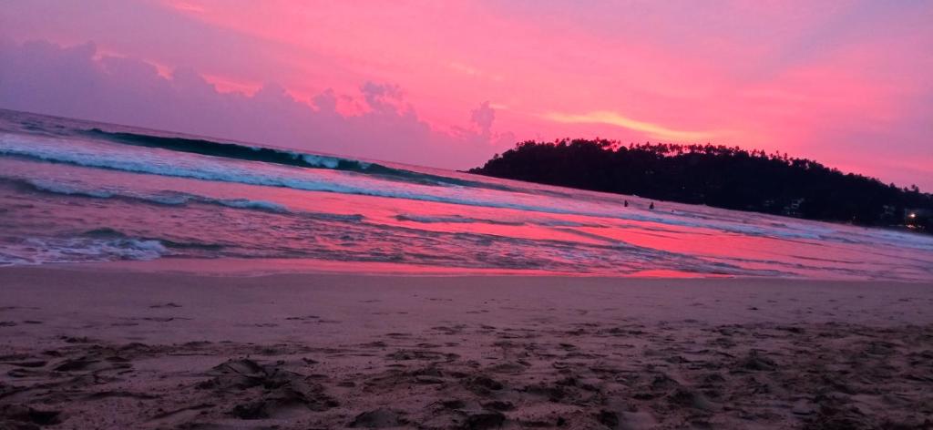 Olympus House room 2