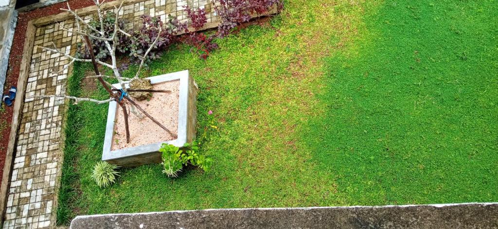 Olympus House room 3