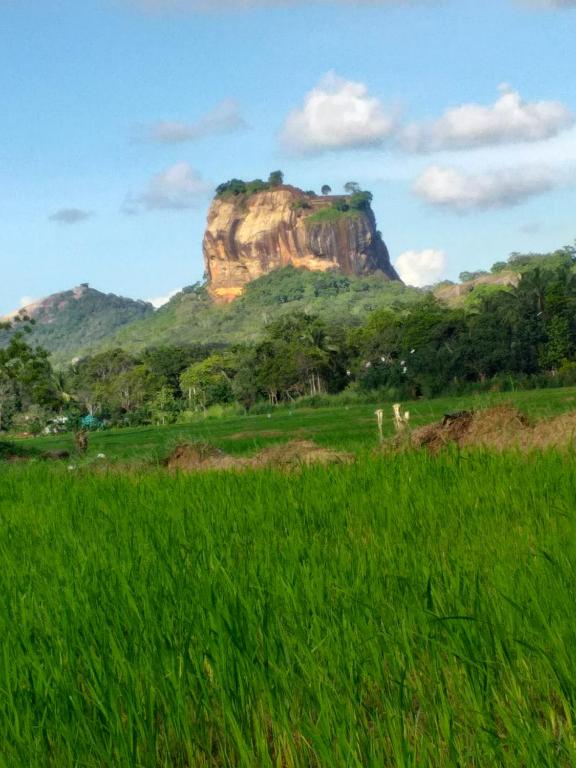 Panoramic Rock View Villa sigiriya room 2