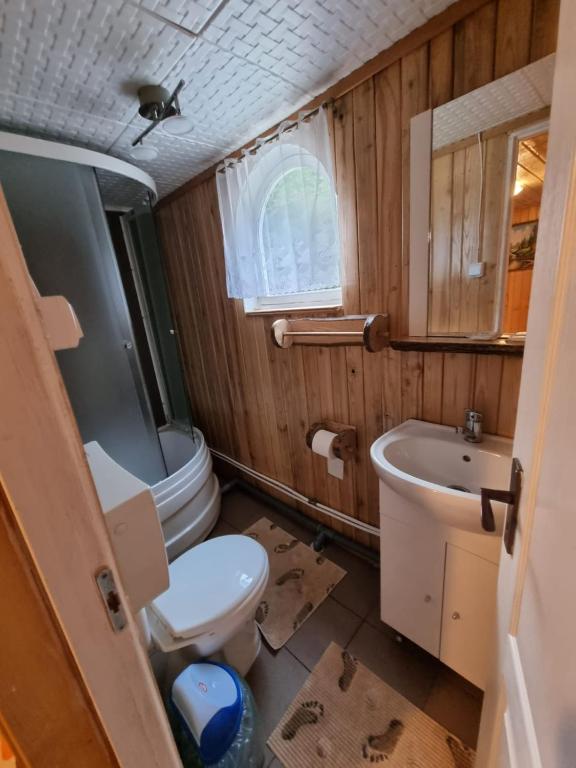 Pensiunea Amalia room 4