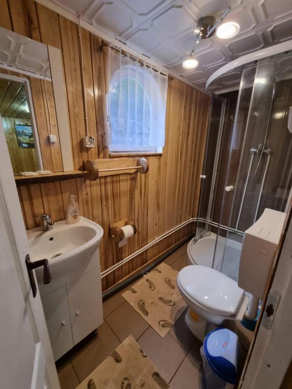 Pensiunea Amalia room 6