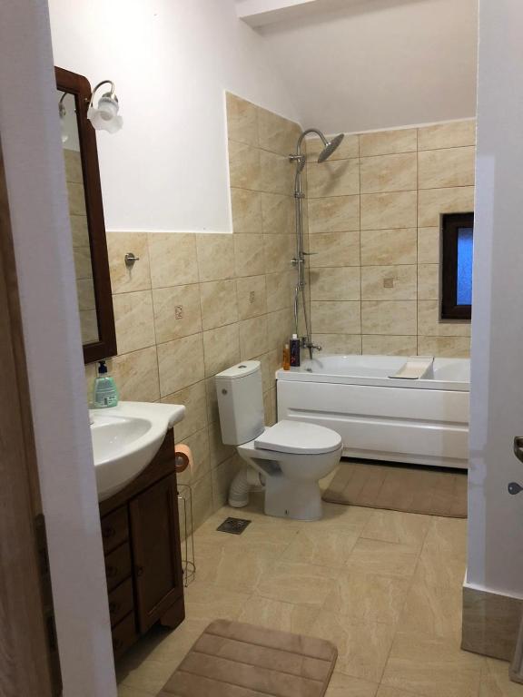 Pensiunea Agroturistică Costiana room 3