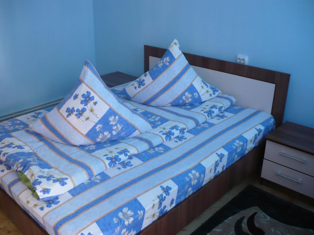 Pensiunea Daiana room 5