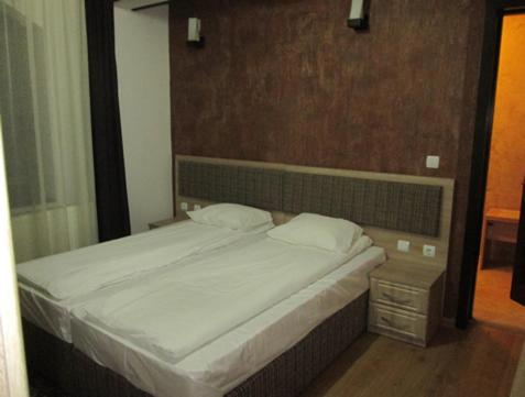 Pensiunea La Moara room 2