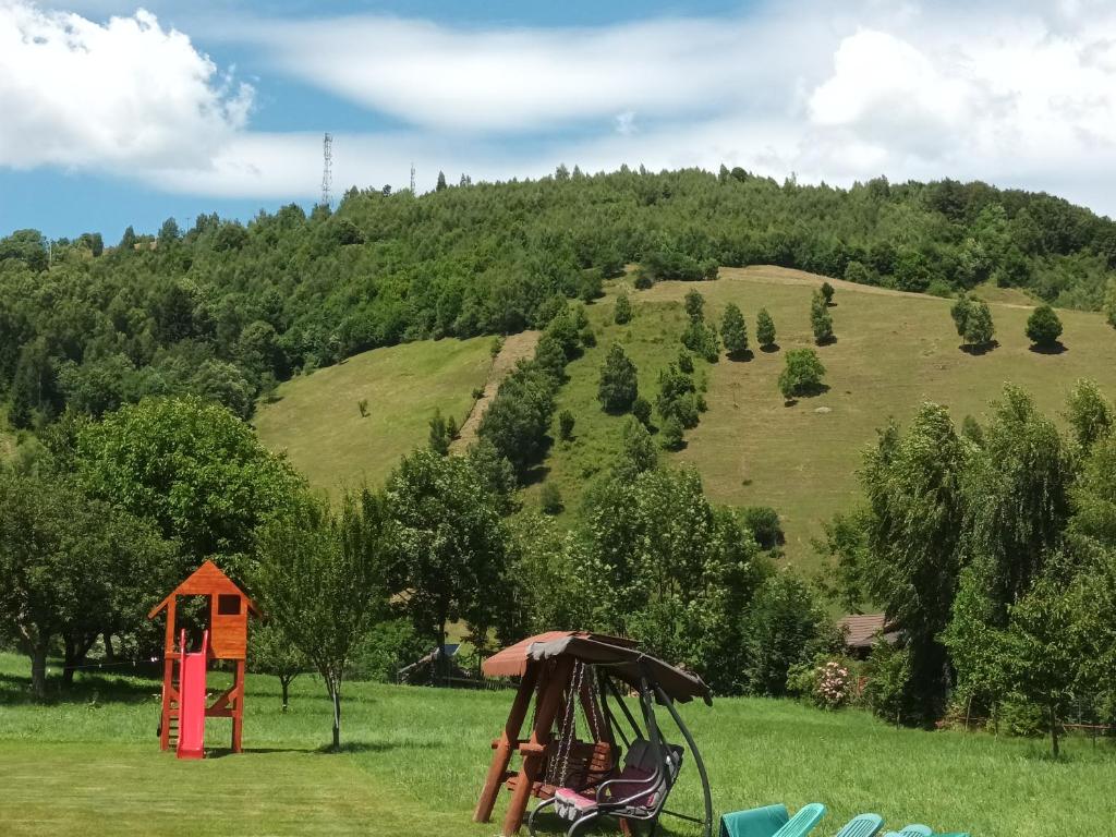 Pensiunea La Remus room 2