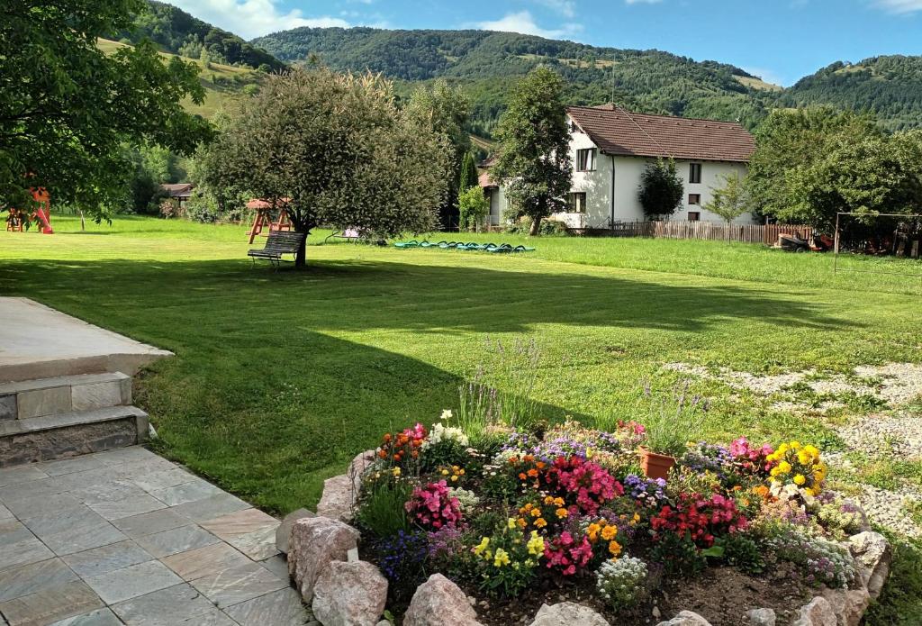 Pensiunea La Remus room 3