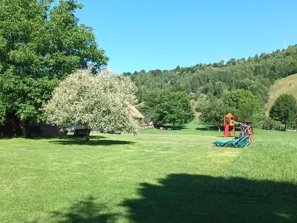 Pensiunea La Remus room 4