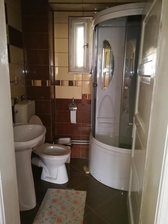 B&B Pensiunea Luminita room 5