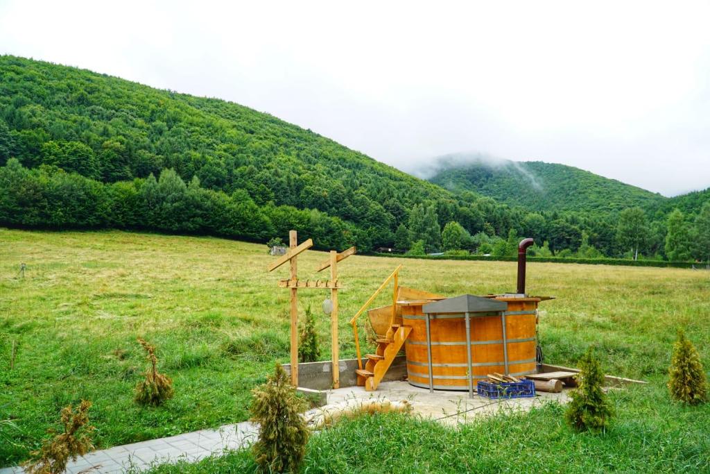Pensiunea Natura room 3