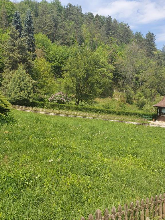 Pensiunea Roua Muntelui room 2