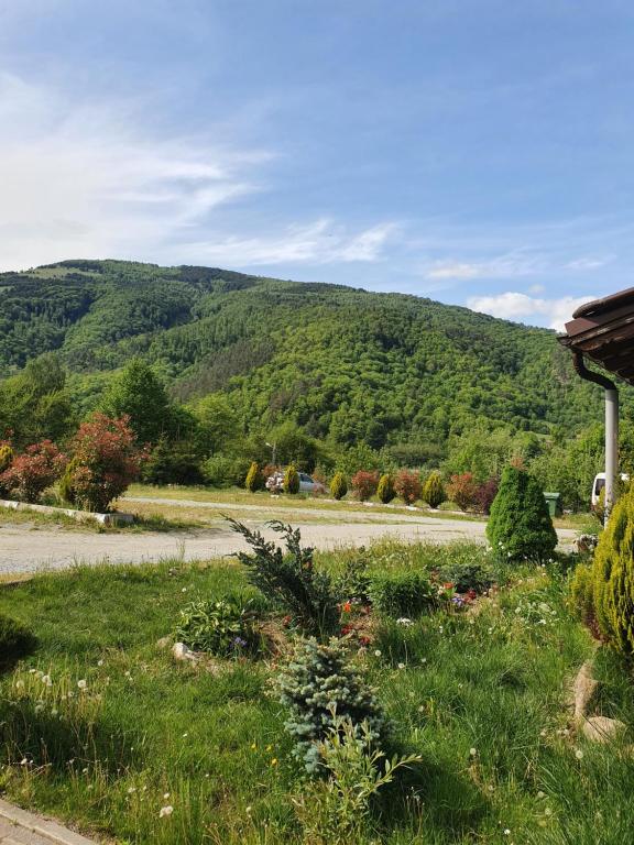 Pensiunea Roua Muntelui room 6