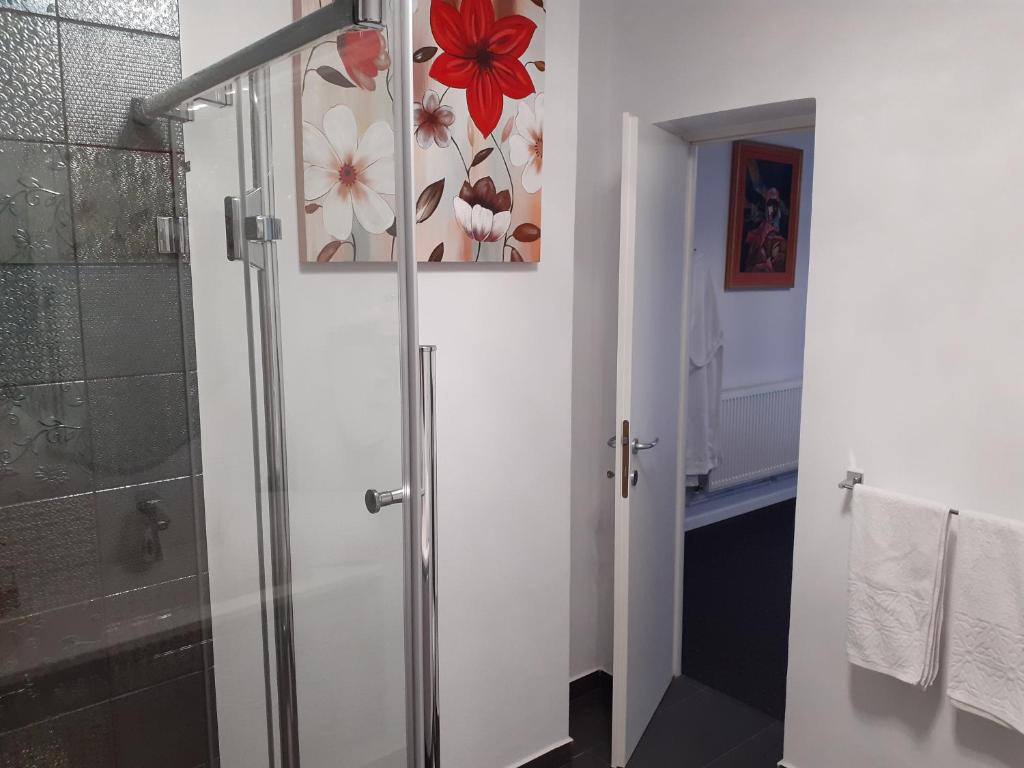 Pensiunea Salcia room 6