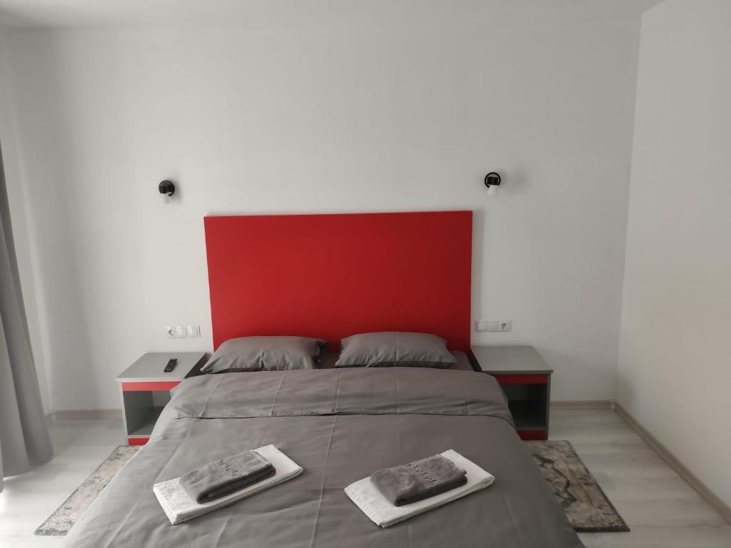 Pensiunea Teodora room 5