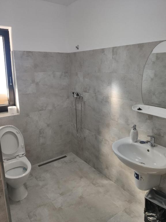 Pensiunea Teodora room 6