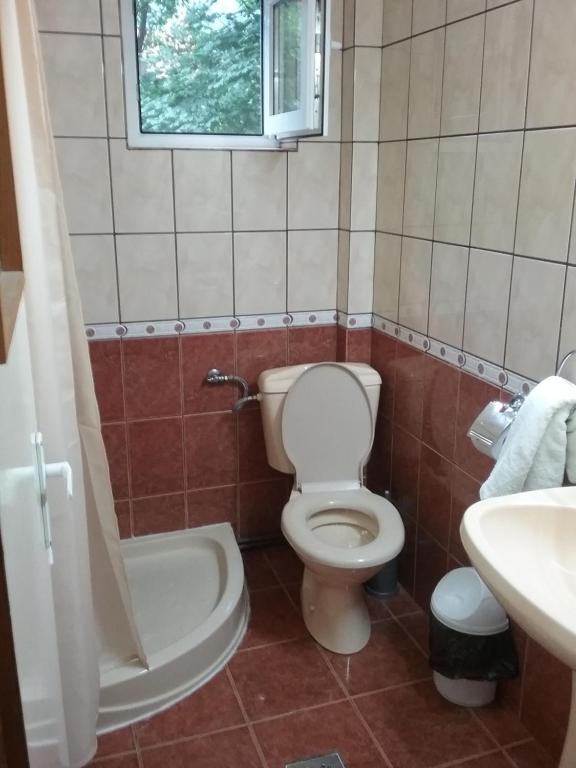 Pensiune Restaurant Sfinx room 1