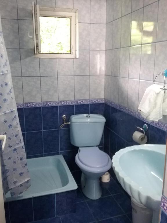 Pensiune Restaurant Sfinx room 5