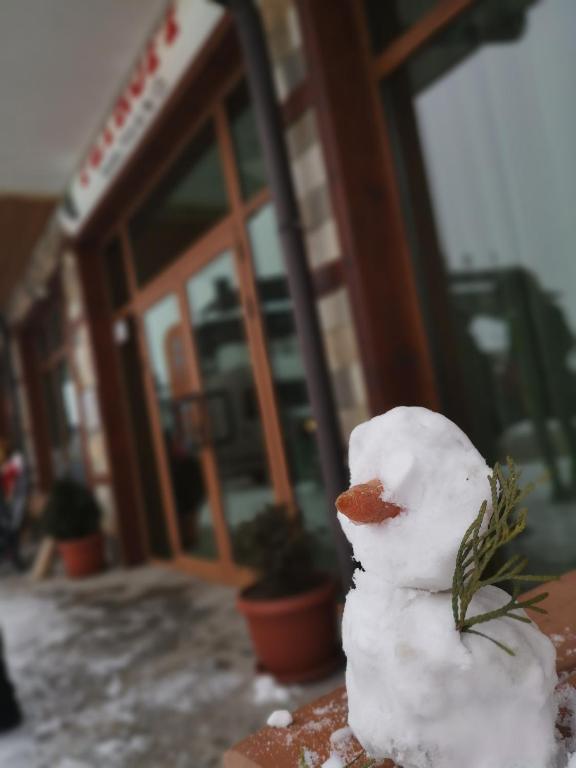 Petroff Apartments Bansko room 4