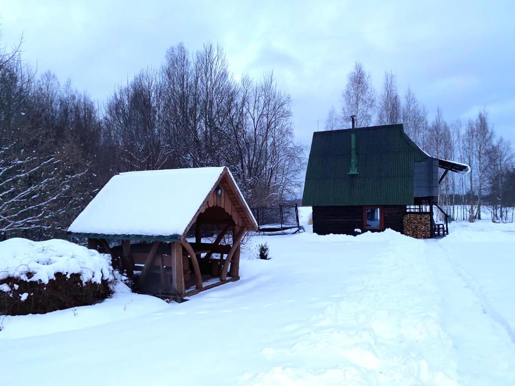 Pirts namiņš Zvaniņi room 3