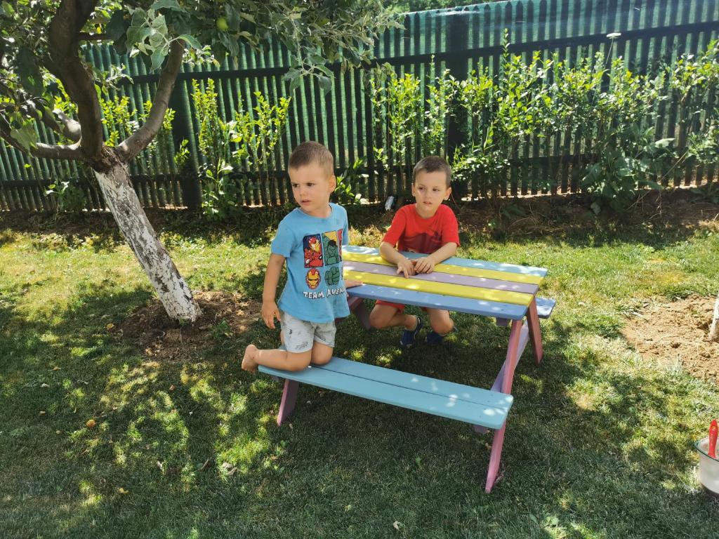 Podgoria Guesthouse room 2