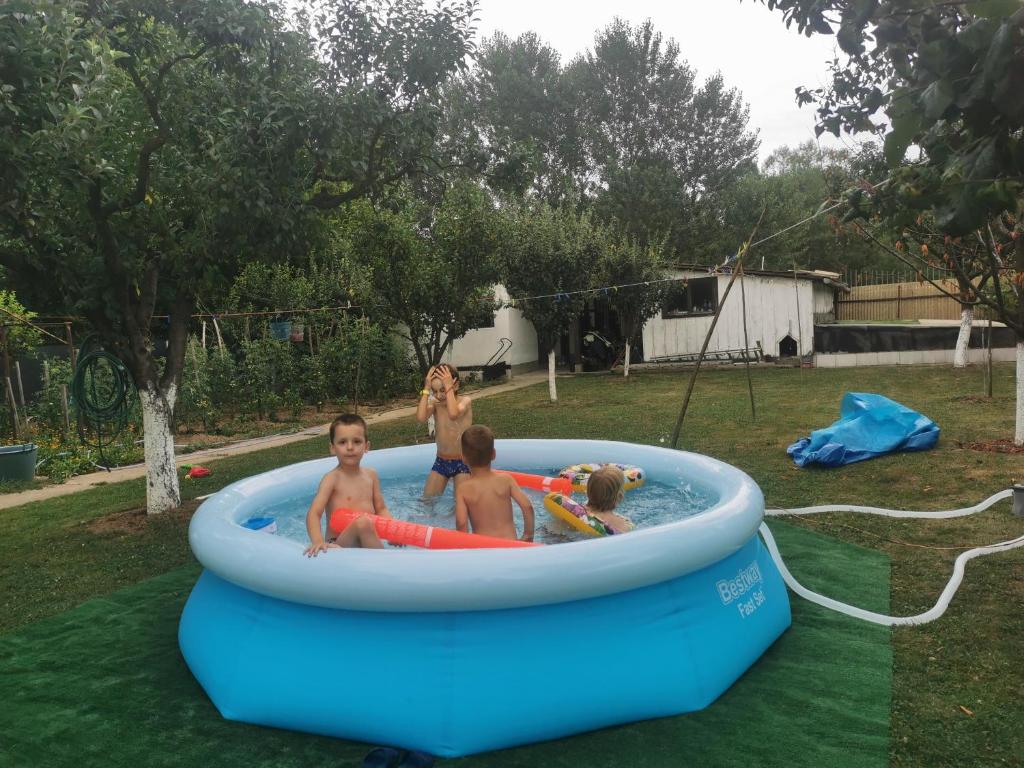 Podgoria Guesthouse room 4