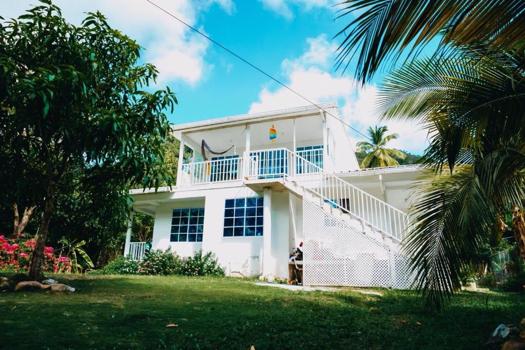 Posada Mango Tree room 4