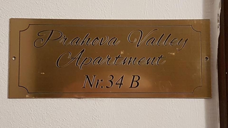 Prahova Valley Apartment room 6