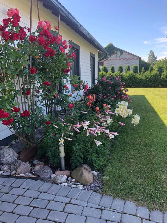 Privatmaja-studiodzivoklis room 3