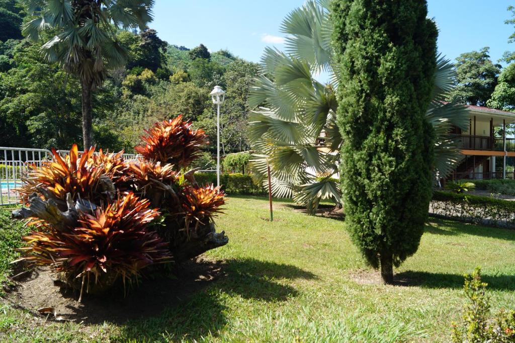 PUERTO ALEGRE/PACEA room 1