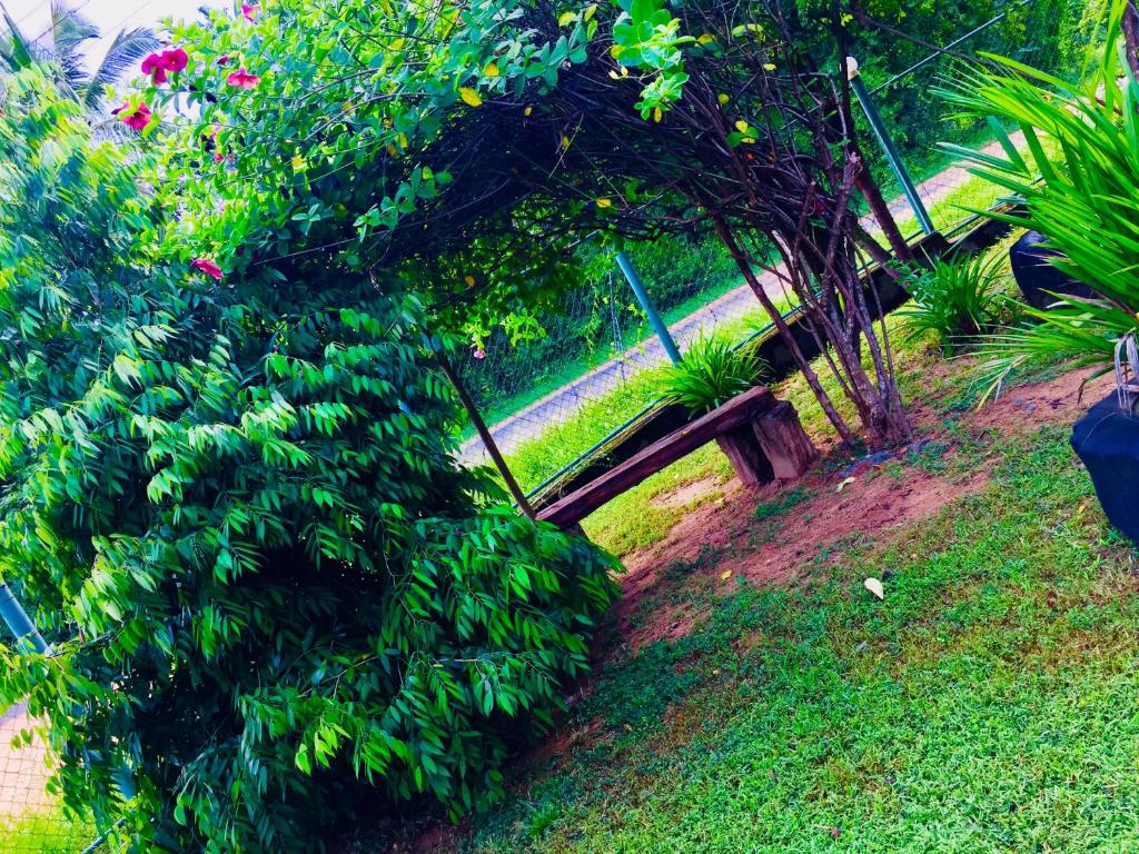 Rathnapriya Safari Guest Galoya room 5