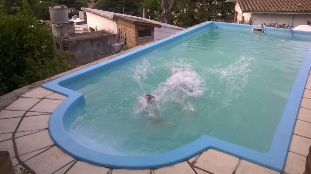 Residencia Gus room 2