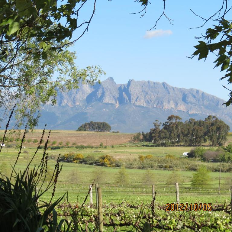 Rooiheuwel Cottage room 4