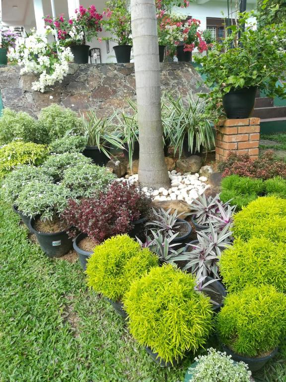 Samanala Garden Holiday Home room 2