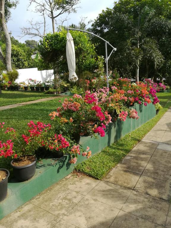 Samanala Garden Holiday Home room 3