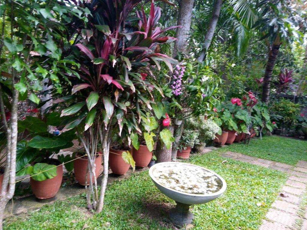 Sansala Guesthouse & Restaurant room 2